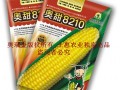 北京奥瑞金种业奥甜8210超甜水果玉米种子正在火爆招商中