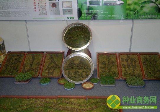 第二十届北京种子大会首开城市农业专题展
