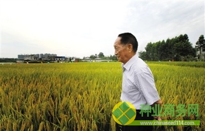 袁隆平:最担心农民不愿种粮