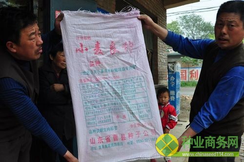 顺河村村民在展示他们购买的装小麦种的袋子（摄影 张岩）