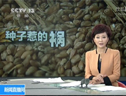 河南官员帮妻推广种子 致小麦减产五成以上 (1004播放)