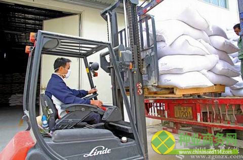 福建泰宁：6千亩杂交水稻种子丰收