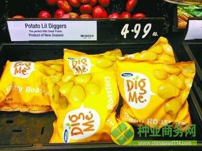 新西兰超市货架上的土豆