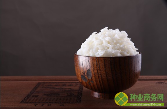 探寻&ldquo;中华第一稻&rdquo;传奇的背后