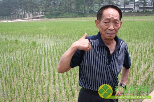 袁隆平发明杂交水稻:一颗种子改变世界