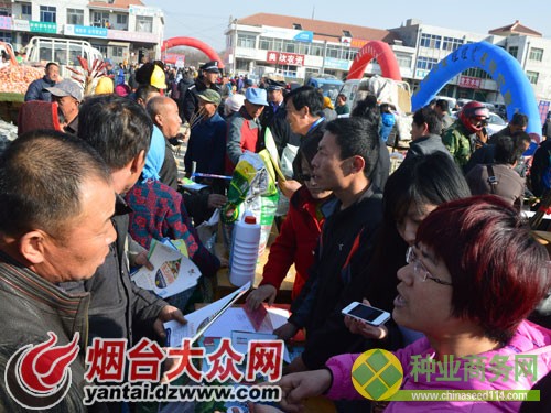 点击浏览下一张