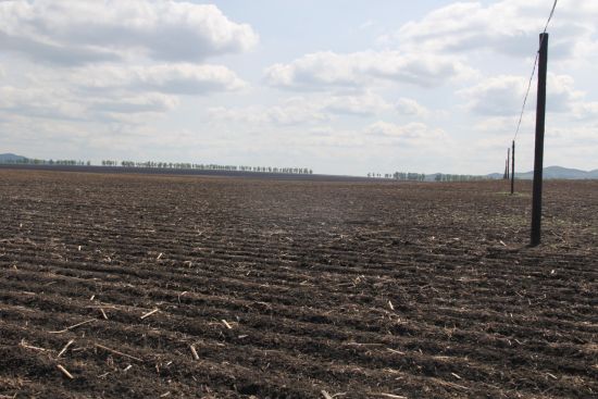 图一:田间场景 图一:田间场景