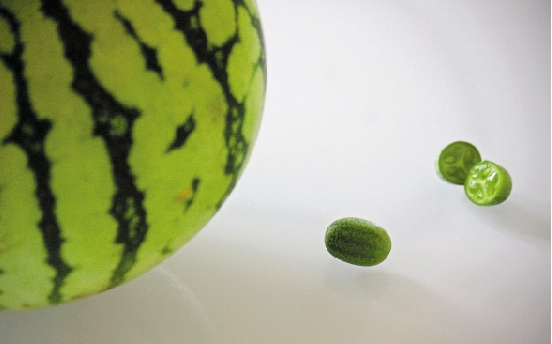 瓜菜种博会让人大开眼界 瓜菜种博会让人大开眼界