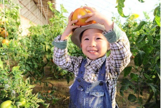 新农人做新农业：IT女博士的农业情结2