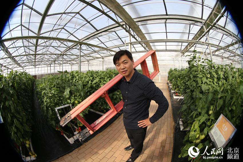 种子展示基地内各个品种的西红柿,展现了世界各地种子家族的强大。