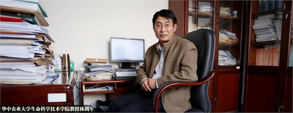 华中农业大学生命科学技术学院教授、转基因水稻研发团队成员林拥军