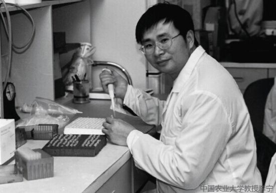中国农业大学教授李宁