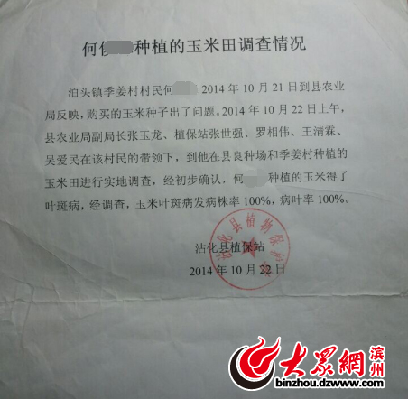 沾化80亩玉米绝收 淄博博信农业种子品质遭质疑 沾化80亩玉米绝收 淄博博信农业种子品质遭质疑