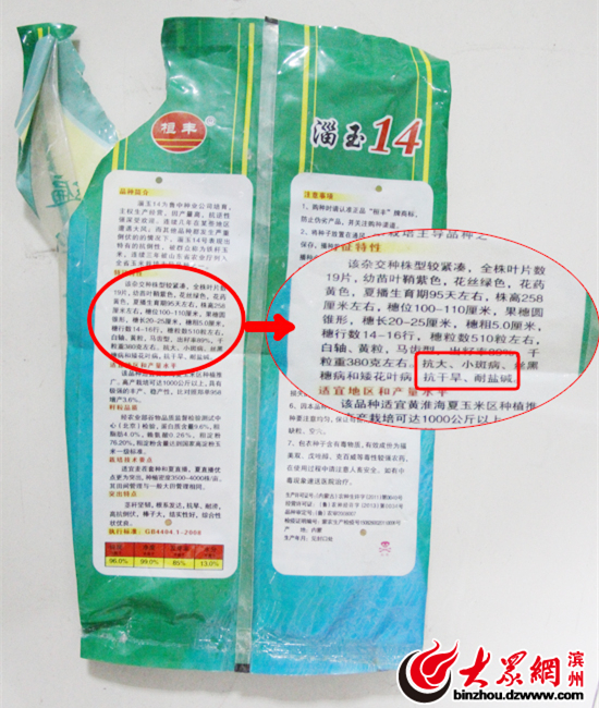 沾化80亩玉米绝收 淄博博信农业种子品质遭质疑 沾化80亩玉米绝收 淄博博信农业种子品质遭质疑
