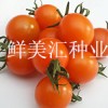 国外进口，高品质樱桃型水果番茄，味道甜美，品质卓越。