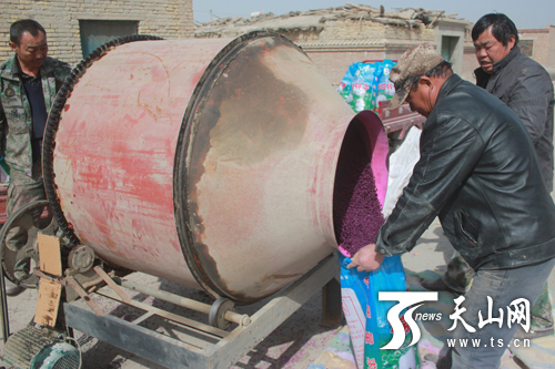 天山网讯 (通讯员王玉霞摄影报道)3月23日,新疆生产建设兵团第二师三十团四连承包户在技术人员指导下进行棉种包衣。