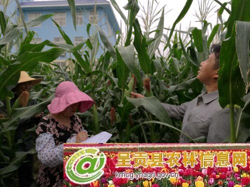 图片其版权均归原作者所有，未经许可严禁转载或建立镜像，如需转载，请与作者或本站联系