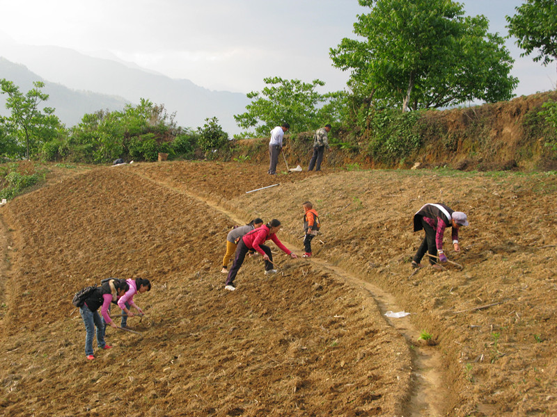 图片其版权均归原作者所有，未经许可严禁转载或建立镜像，如需转载，请与作者或本站联系