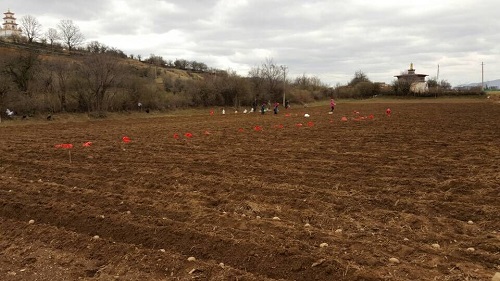 图片其版权均归原作者所有，未经许可严禁转载或建立镜像，如需转载，请与作者或本站联系
