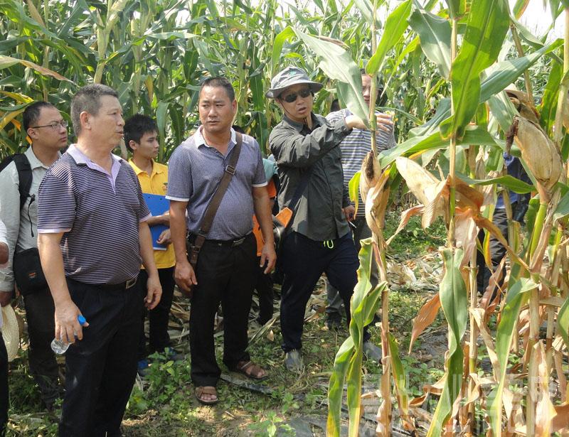 图片其版权均归原作者所有，未经许可严禁转载或建立镜像，如需转载，请与作者或本站联系