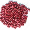 购买品质有保障的红芸豆，三兴粮油是您不二选择：便利的红芸豆价格