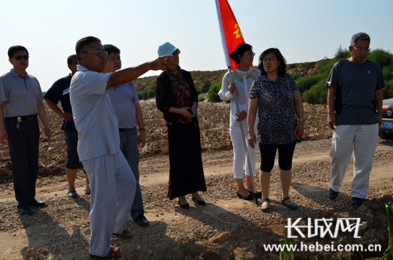 宁晋县农业局邀请省农科院专家在宁晋指导灾后生产。宁晋县宣传部供图