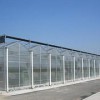文洛玻璃温室施工|优质文洛玻璃温室建设