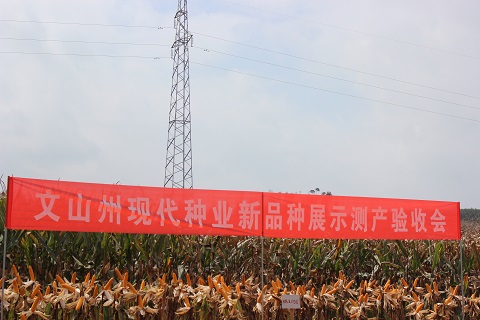 图片其版权均归原作者所有,未经许可严禁转载或建立镜像,如需转载,请与作者或本站联系