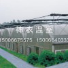 北京日光温室建设|山东优质的温室大棚