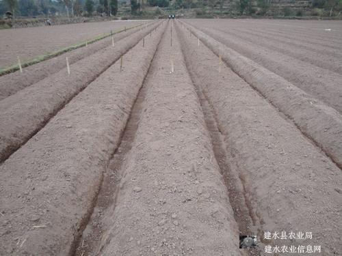 图片其版权均归原作者所有，未经许可严禁转载或建立镜像，如需转载，请与作者或本站联系