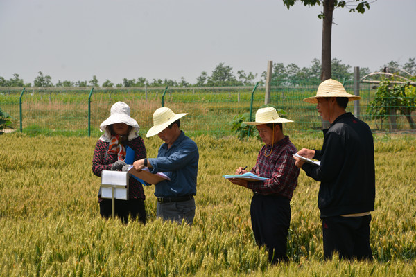 考察专家会商品种表现