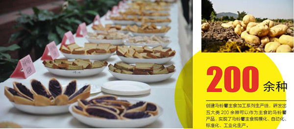 我国马铃薯加工关键技术世界领先