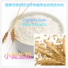 小麦生粉 自磨小麦面粉 低价批发