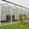风山温室园艺出售合格的智能温室大棚建设——温室大棚建造