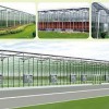 温室大棚工程——潍坊可靠的连栋温室大棚建设公司是哪家