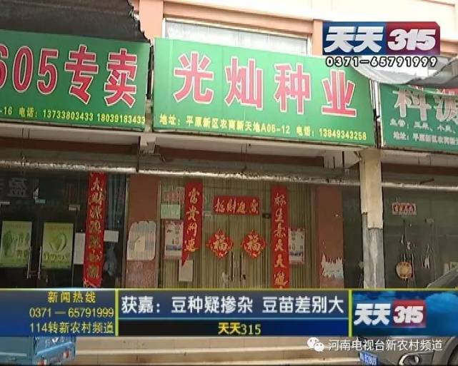 新乡一老农种黄豆遇闹心事 豆苗高低参差开花也不一样