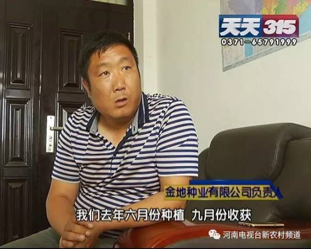 新乡一老农种黄豆遇闹心事 豆苗高低参差开花也不一样