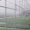 内蒙光伏太阳能温室大棚——潍坊区域规模大的温室大棚配件生产厂家