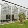 风山温室园艺出售优质智能温室大棚|阳光板温室大棚施工