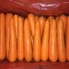 大洲蔬菜胡萝卜-您上好的选择——胡萝卜加工工艺流程