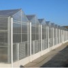 结实耐用的温室推荐-甘肃玻璃连栋大棚价格