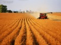 江苏省2017-2018年度小麦新品种区域试验实施方案