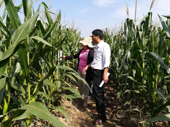 微信截图_20170914091852