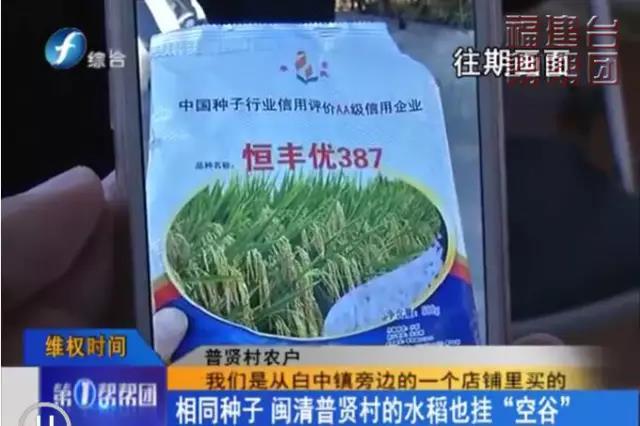 连江50余亩水稻挂“空谷” 村民怀疑种子有问题