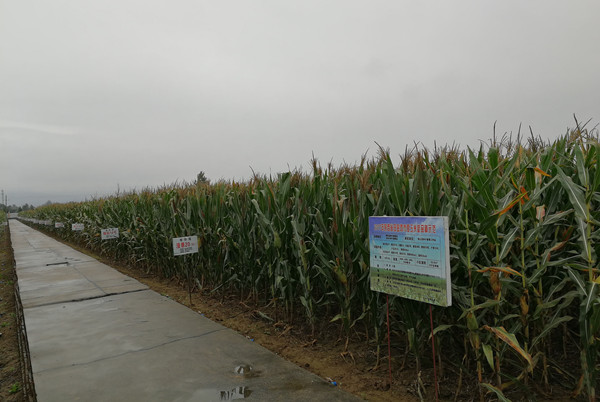 示范展示作用发挥充分