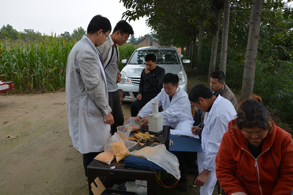 技术人员进行田间籽粒含水量测定