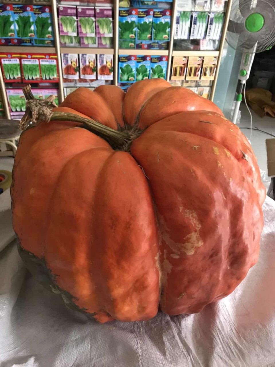 微信图片_20171030085645