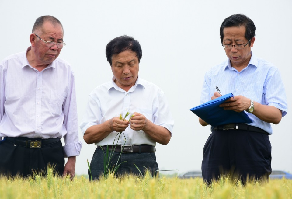 QQ图片20180519164326