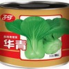 “华青”青梗菜种子/小白菜/上海青