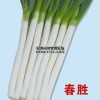 日本春胜（进口